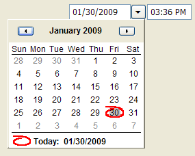 DateTimePicker